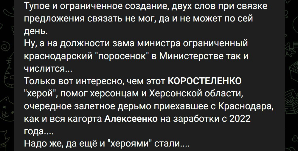 Що пишуть про Максима Коростеленка 